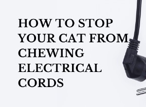 Keep Your Cat Safe: Proven Tips to Stop Cats from Chewing Electrical Cords