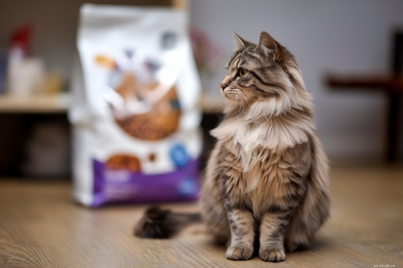 Master Cat Food Labels:deskundige gids voor het decoderen van ingrediënten en slimme keuzes 