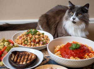 Can Cats Thrive on a Vegan Diet? The Science of Plant-Based Nutrition for Felines
