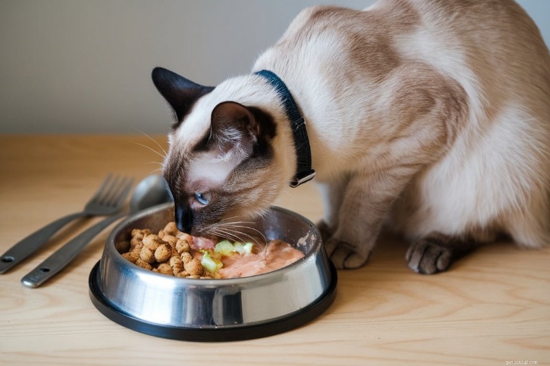 샴 고양이에게 먹이를 주는 방법:필요한 영양분에 대한 완벽한 가이드 