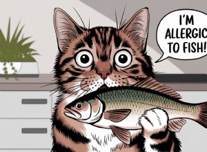 5 Surprising Foods That Can Trigger Cat Allergies (Including Fish) – What You Need to Know