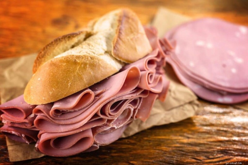 Je Bologna bezpečná pro kočky? Odborné pokyny pro krmení vaší kočky 