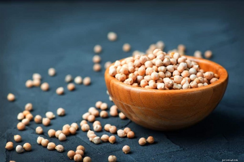 Les pois chiches peuvent-ils être ajoutés en toute sécurité à l’alimentation de votre chat ? Vet-Backed Guidance on Benefits and Risks 
