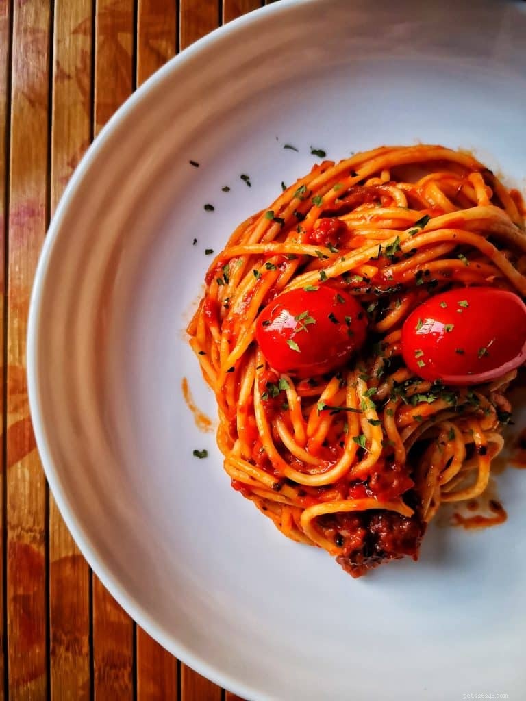 Kunnen katten veilig pasta eten? Deskundige begeleiding 