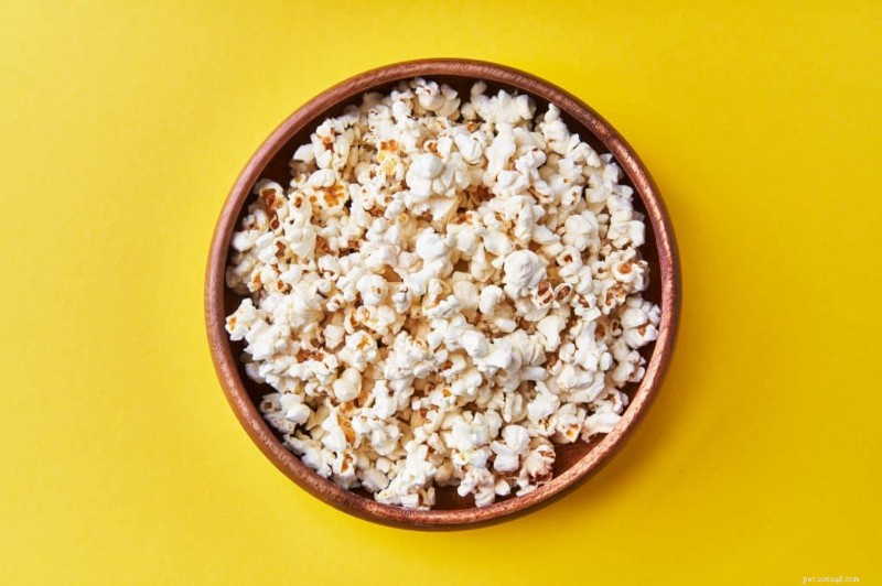 Mohou kočky bezpečně konzumovat popcorn? Kompletní průvodce 