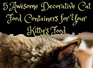 Top 5 Stylish Cat Food Containers for Fresh, Easy Storage