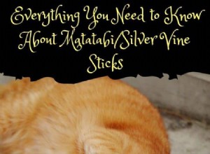 Matatabi Sticks for Cats: Safe, Potent Treats That Spark Joy & Playfulness
