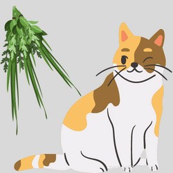 고양이를 위한 쑥:안전성, 이점 및 잠재적인 부작용 