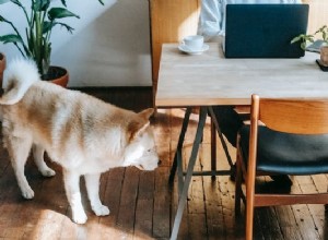 The Impact of Pets on Remote Work: Boosting Productivity and Well‑Being