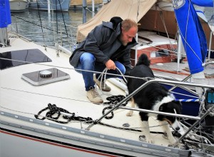 Dog Boarding Made Easy: Expert Tips for Safe, Stress-Free Stays