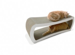 PetFusion Jumbo Cat Scratcher Lounge Review – Top Choice for Multi‑Cat Homes