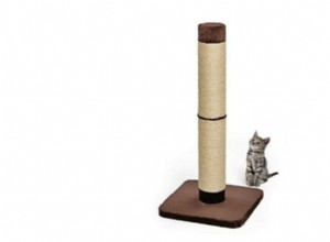 MidWest Feline Nuvo Grand Forte Scratching Post: Expert Review & Features