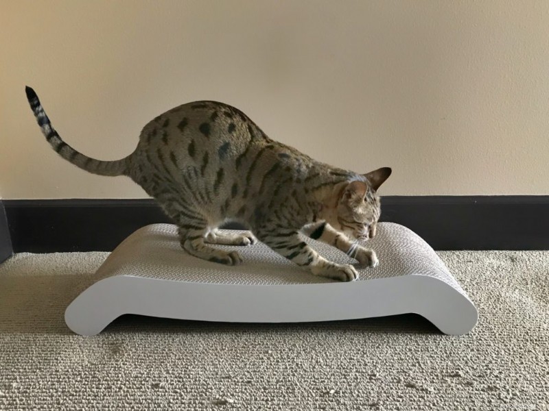 PetFusion Flip Lounge Cat Scratcher 리뷰:이중 용도 안락 의자 및 스크래치 