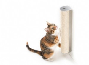 4CLAWS Wall‑Mounted Scratching Post: Space‑Saving, Durable, and Pet‑Friendly Review