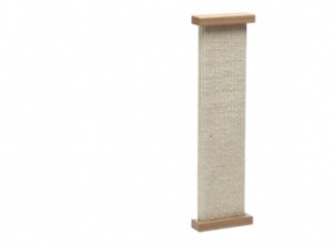 SmartCat Bootsie Combination Scratcher Review: Durable, Versatile & Value‑Driven
