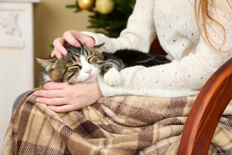 12 raisons prouvées pour lesquelles les chats adorent dormir sur vos jambes 