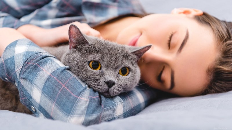 12 raisons prouvées pour lesquelles les chats adorent dormir sur vos jambes 