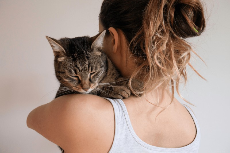 Quelle est la durée de la mémoire d’un chat ? Tout ce que vous devez savoir 