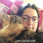 5 Compelling Reasons Cats Make Life Better
