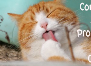 Expert Guide to Cat Skin Problems: Causes, Symptoms, and Solutions