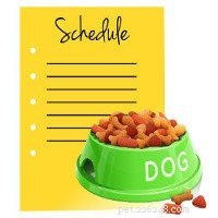 Gids van experts:snelle en effectieve stappen voor zindelijkheidstraining voor puppy s 