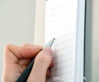 Gids van experts:snelle en effectieve stappen voor zindelijkheidstraining voor puppy s 