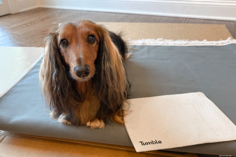 Recenze Tumble Rugs 2026:Klady, zápory a rodinné zkušenosti s dětmi a psy 