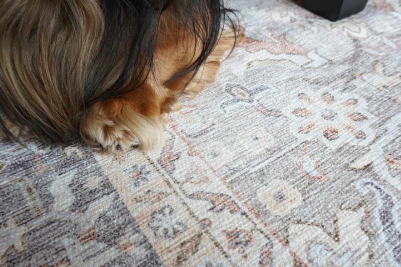 Recenze Tumble Rugs 2026:Klady, zápory a rodinné zkušenosti s dětmi a psy 