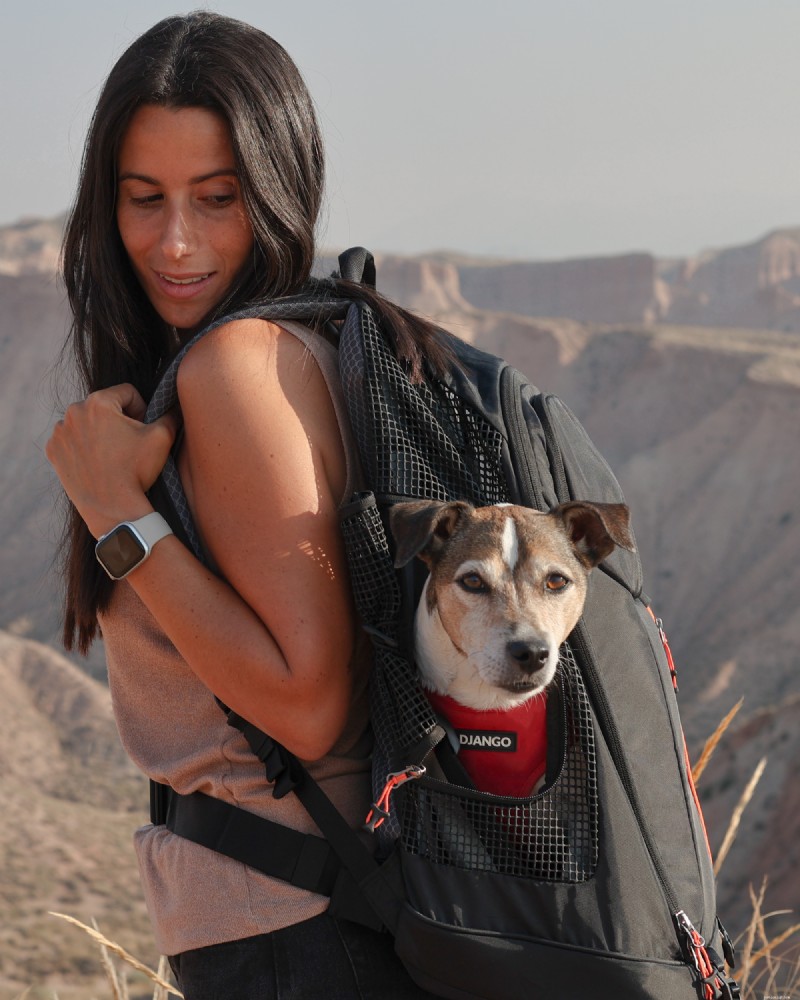 ハイキングや旅行に最適な小型犬用バックパックキャリア トップ 5 – 2026 年の専門家レビュー 