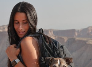 Top 5 Small‑Dog Backpack Carriers for Hiking & Travel – 2026 Expert Review