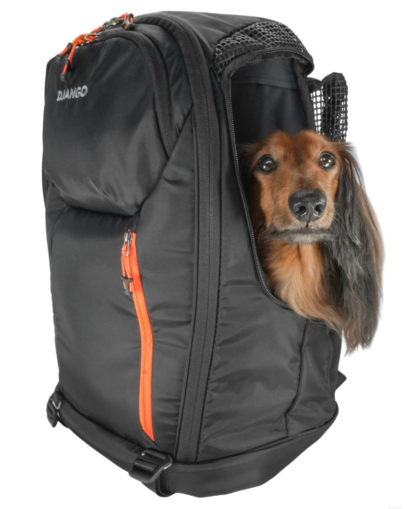 ハイキングや旅行に最適な小型犬用バックパックキャリア トップ 5 – 2026 年の専門家レビュー 