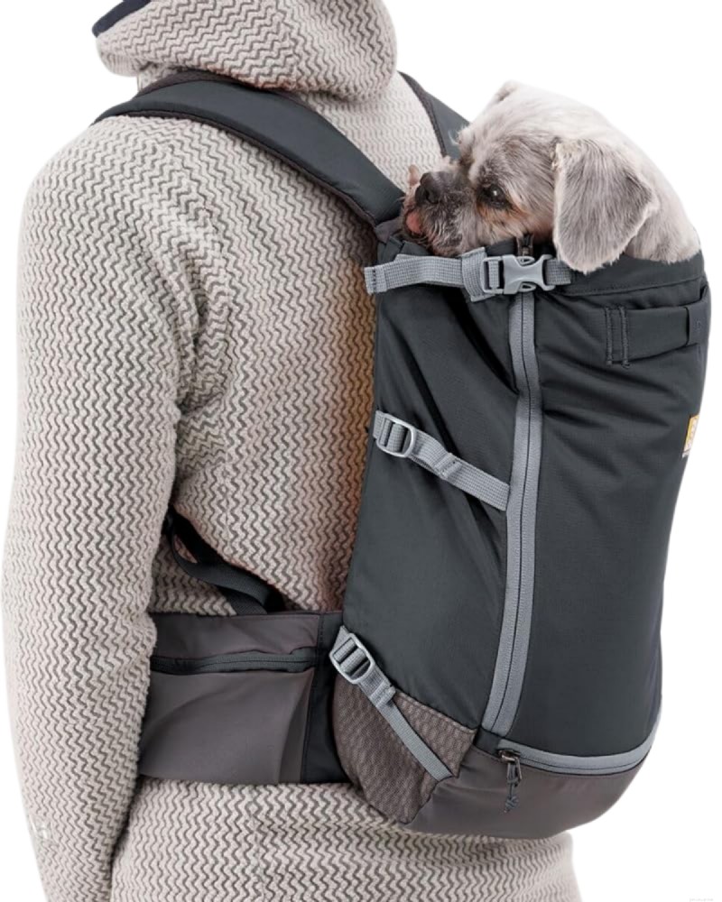 ハイキングや旅行に最適な小型犬用バックパックキャリア トップ 5 – 2026 年の専門家レビュー 