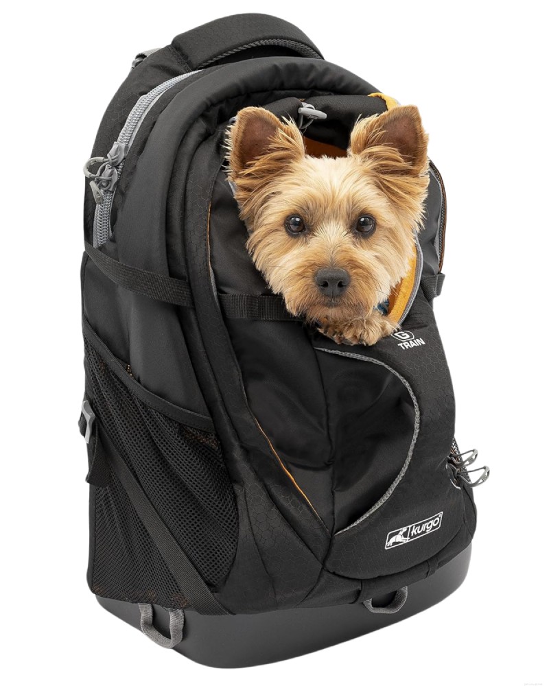 ハイキングや旅行に最適な小型犬用バックパックキャリア トップ 5 – 2026 年の専門家レビュー 