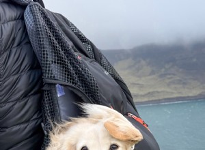 DJANGO Dog Carrier Backpack Review – The Ultimate Hiking Companion for Small Dogs