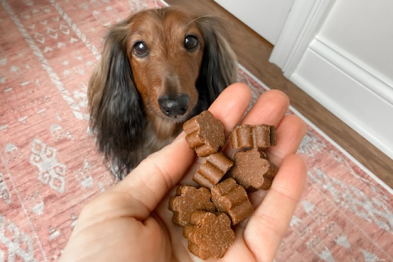 Dog Is Human DM-01™:идеальный ежедневный мультивитамин для чувствительных собак 
