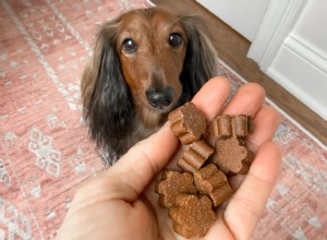 Dog Is Human DM-01™: The Ultimate Daily Multivitamin for Sensitive Dogs