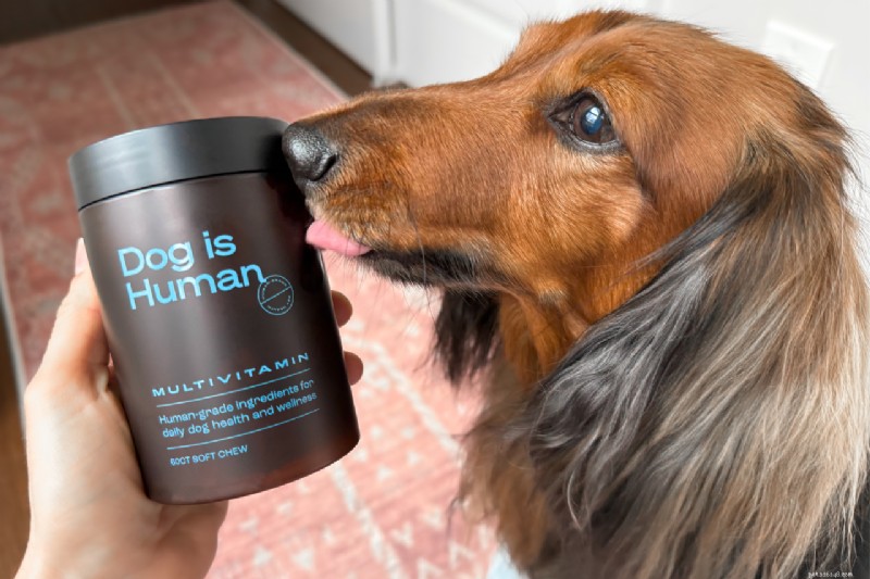 Dog Is Human DM-01™:идеальный ежедневный мультивитамин для чувствительных собак 