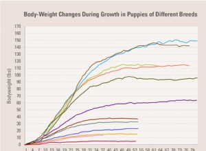 How Long Do Puppies Grow? Understanding the Growth Timeline for Your Dog