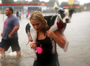 Pet Emergency Preparedness in Milwaukee: Protecting Dogs, Cats, and Other Pets During Natural Disasters