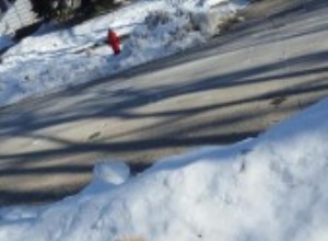 Rock Salt Hazards: Protect Your Dog s Paws This Winter