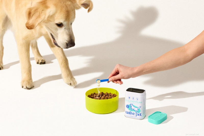 ネイティブペットの犬用初乳:免疫力と腸の健康を促進 