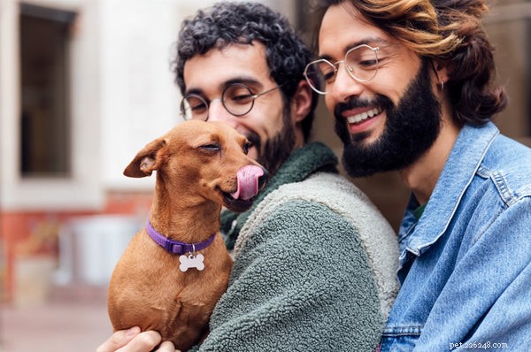 犬の乾燥した鼻を理解する：原因、懸念、ケア 