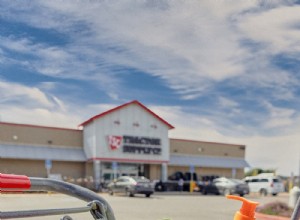 Top 8 Must‑Have Pet Essentials from Tractor Supply