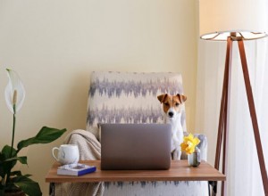 Designing a Productive Home Office with a Dedicated Pet Zone – 5 Simple Ideas