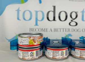 Duke-N-Boots Canned Food Organizer Review: Keep Your Pets’ Food Organized and Accessible