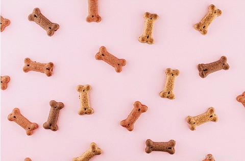 2025 年専門ガイド:犬と猫のフードに含まれる有害な成分とそれらを避ける方法 