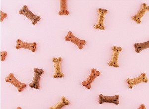 2025 Expert Guide: Harmful Ingredients in Dog & Cat Food & How to Avoid Them