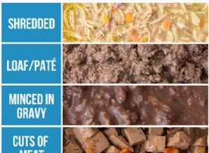 Why Your Pet Refuses Food – Common Causes and Solutions
