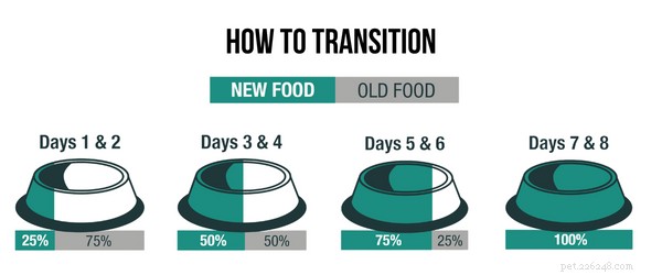 ペットが餌を拒否する理由 – 一般的な原因と解決策 