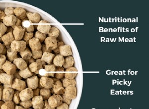 Choosing Freeze‑Dried Pet Food: What’s Best for Your Dog or Cat?